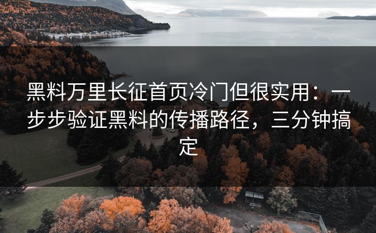 黑料万里长征首页冷门但很实用：一步步验证黑料的传播路径，三分钟搞定