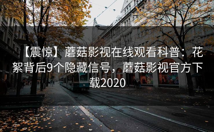 【震惊】蘑菇影视在线观看科普：花絮背后9个隐藏信号，蘑菇影视官方下载2020