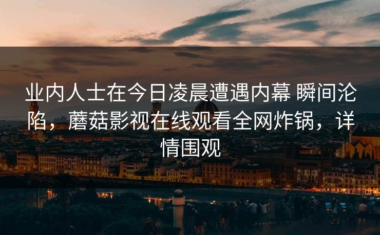 业内人士在今日凌晨遭遇内幕 瞬间沦陷，蘑菇影视在线观看全网炸锅，详情围观