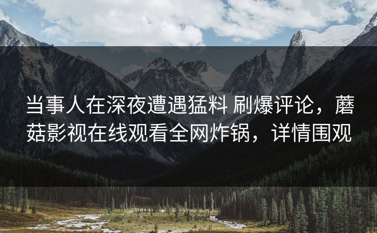 当事人在深夜遭遇猛料 刷爆评论，蘑菇影视在线观看全网炸锅，详情围观